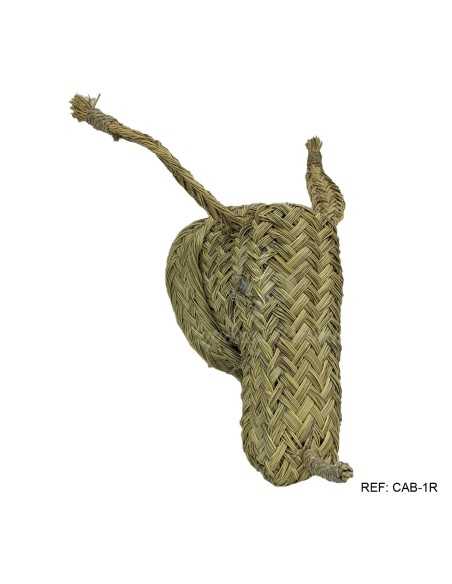 Cabeza rinoceronte esparto animal