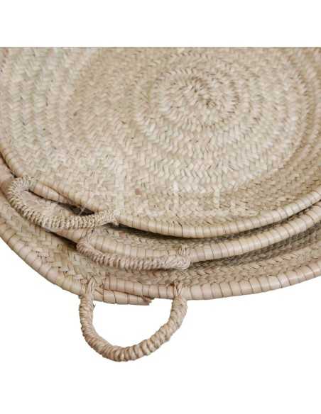 Arrocera de plama