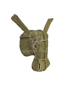 Cabeza de burro 2
