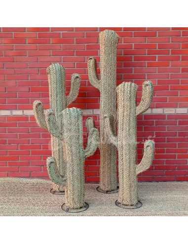 Cactus Izguem