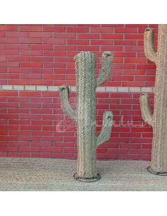 Cactus Izguem 2