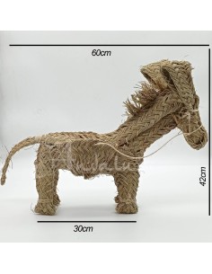 Burro Taleb 2