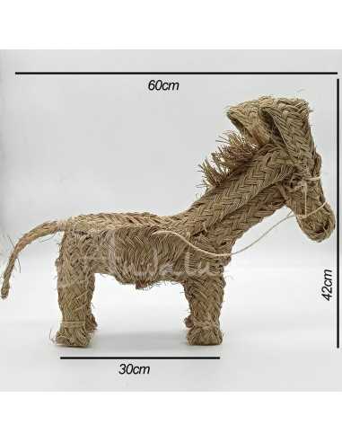 Burro Taleb