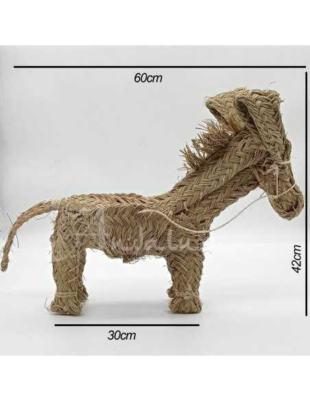 Burro Taleb